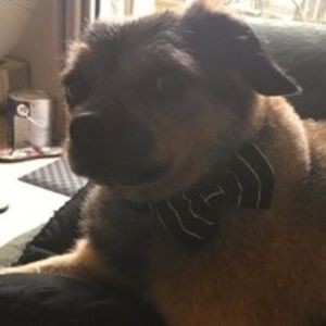 Meet your Posher, Annmarie